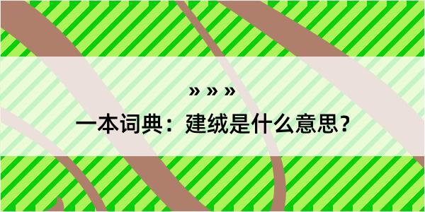 一本词典：建绒是什么意思？