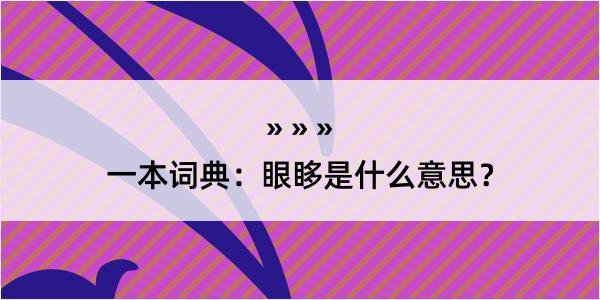 一本词典：眼眵是什么意思？