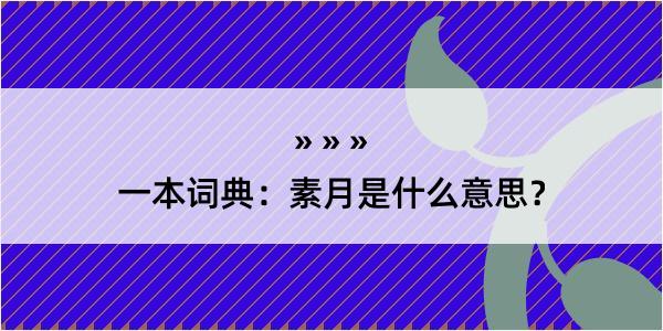 一本词典：素月是什么意思？