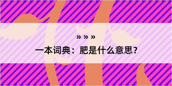 一本词典：肥是什么意思？