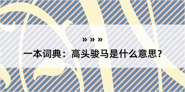 一本词典：高头骏马是什么意思？