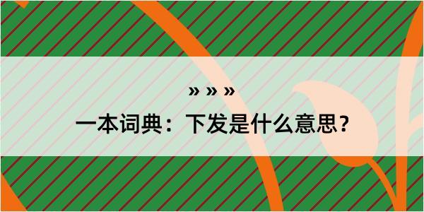 一本词典：下发是什么意思？