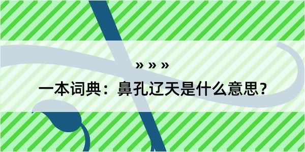 一本词典：鼻孔辽天是什么意思？