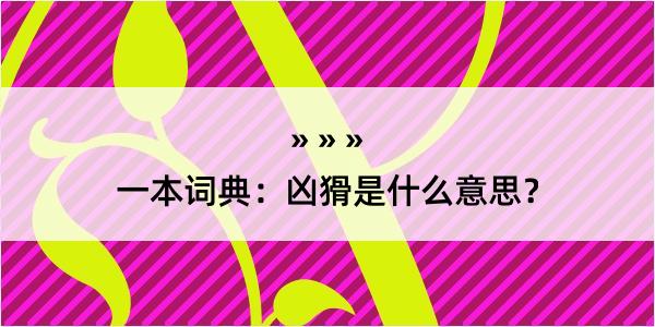 一本词典：凶猾是什么意思？