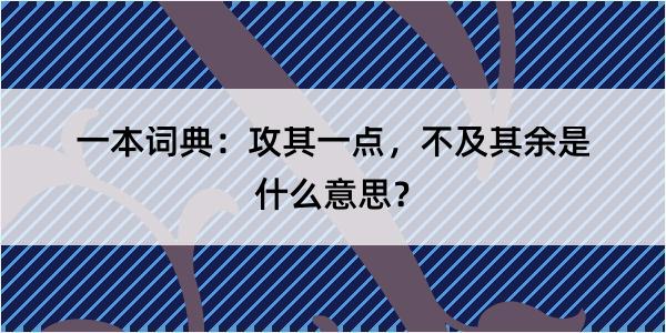 一本词典：攻其一点，不及其余是什么意思？