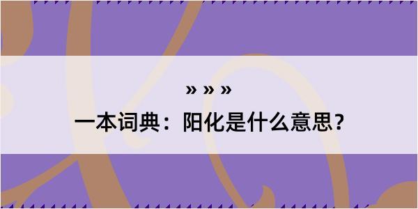 一本词典：阳化是什么意思？