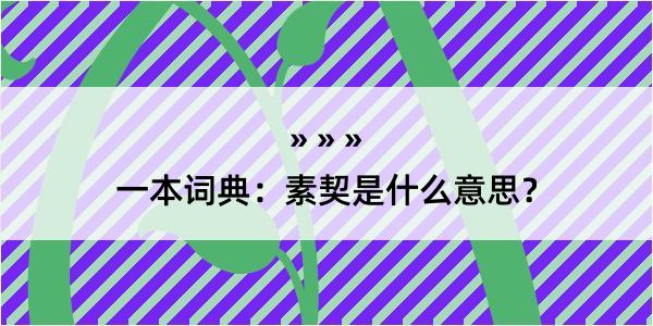 一本词典：素契是什么意思？