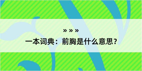 一本词典：前胸是什么意思？