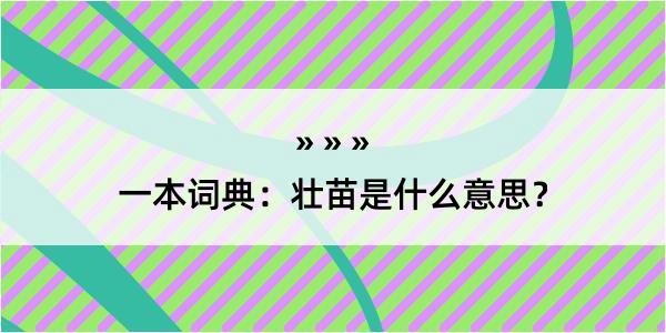 一本词典：壮苗是什么意思？