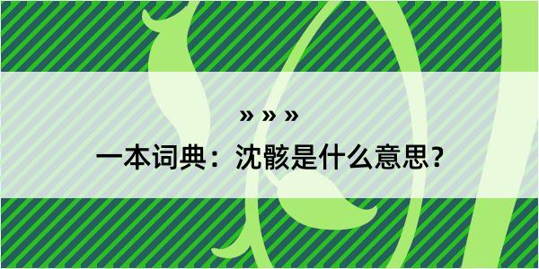 一本词典：沈骸是什么意思？