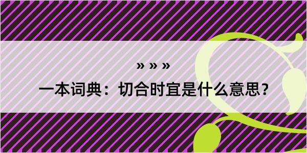 一本词典：切合时宜是什么意思？