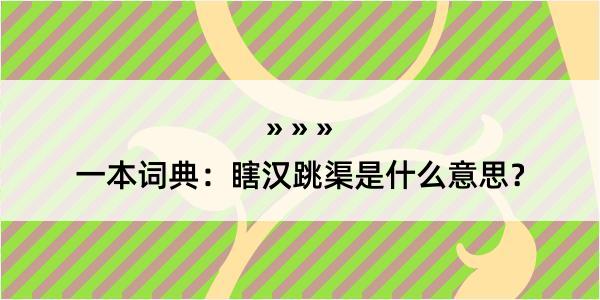 一本词典：瞎汉跳渠是什么意思？