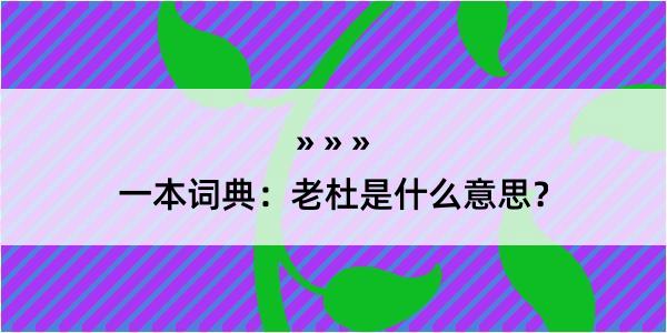 一本词典：老杜是什么意思？