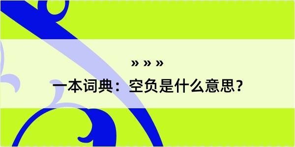 一本词典：空负是什么意思？