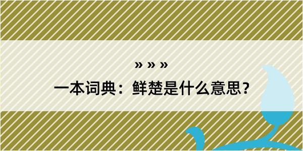 一本词典：鲜楚是什么意思？