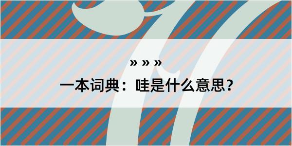 一本词典：哇是什么意思？