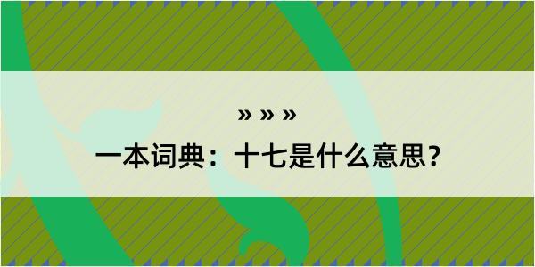 一本词典：十七是什么意思？