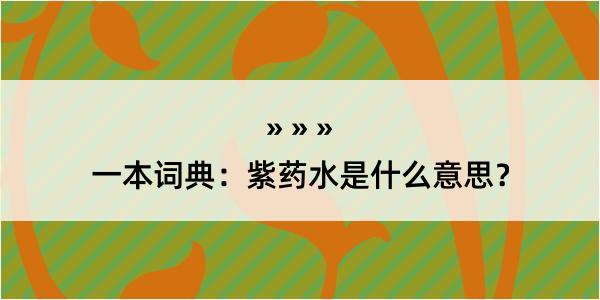 一本词典：紫药水是什么意思？