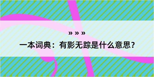 一本词典：有影无踪是什么意思？