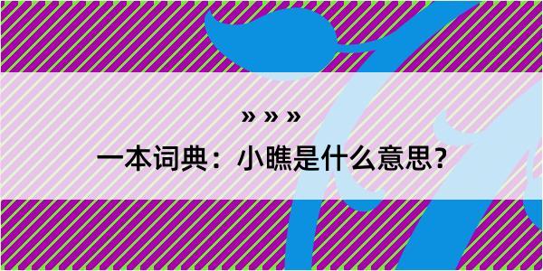 一本词典：小瞧是什么意思？