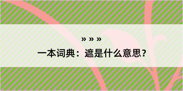 一本词典：遮是什么意思？