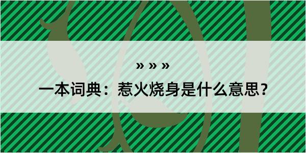 一本词典：惹火烧身是什么意思？