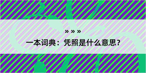 一本词典：凭照是什么意思？