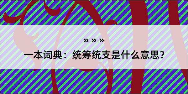 一本词典：统筹统支是什么意思？