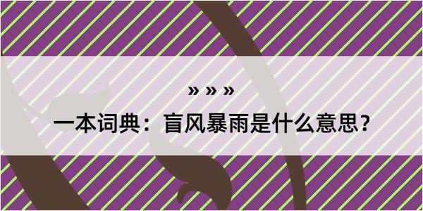 一本词典：盲风暴雨是什么意思？