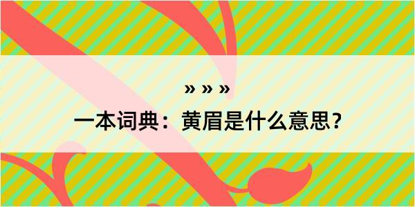 一本词典：黄眉是什么意思？