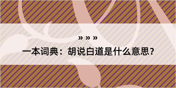 一本词典：胡说白道是什么意思？