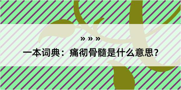 一本词典：痛彻骨髓是什么意思？