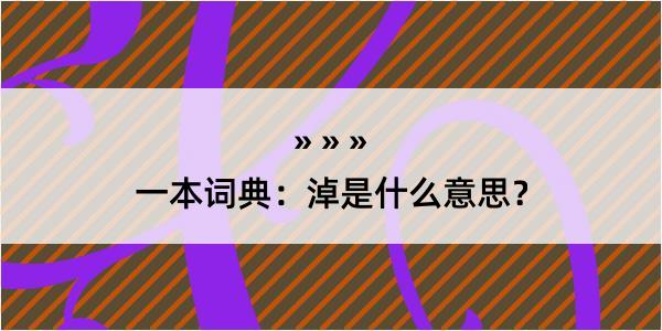 一本词典：淖是什么意思？