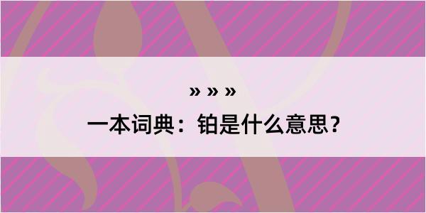 一本词典：铂是什么意思？