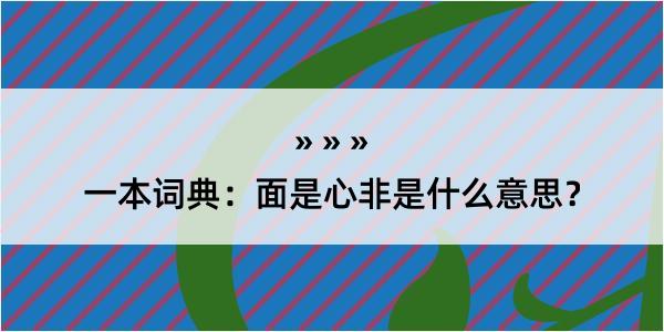 一本词典：面是心非是什么意思？