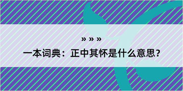 一本词典：正中其怀是什么意思？