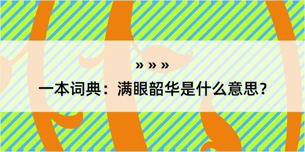 一本词典：满眼韶华是什么意思？