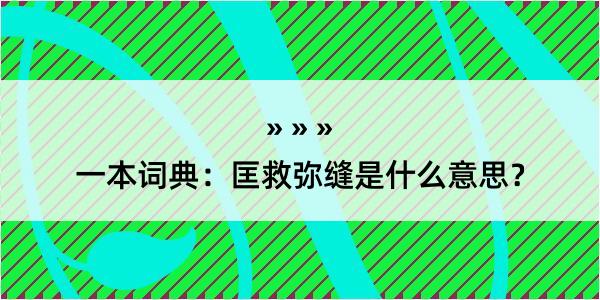 一本词典：匡救弥缝是什么意思？