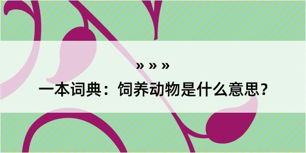 一本词典：饲养动物是什么意思？