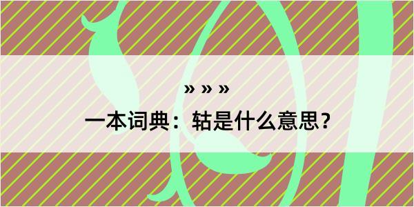 一本词典：轱是什么意思？