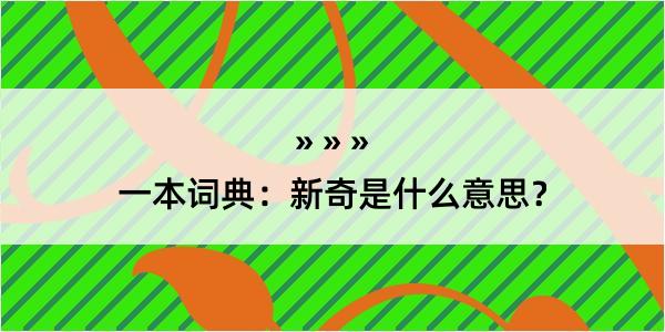 一本词典：新奇是什么意思？