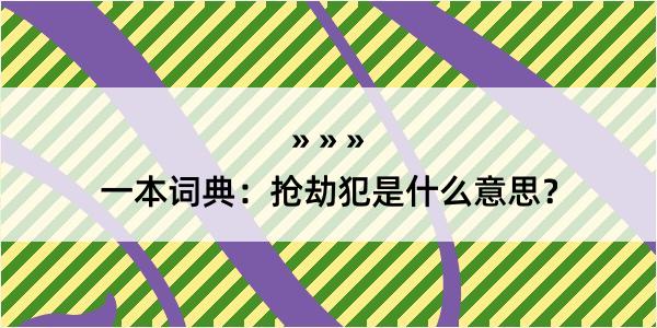 一本词典：抢劫犯是什么意思？