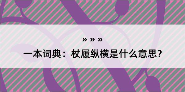 一本词典：杖履纵横是什么意思？