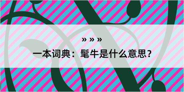 一本词典：髦牛是什么意思？