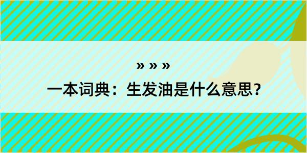 一本词典：生发油是什么意思？