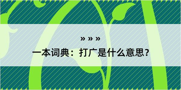 一本词典：打广是什么意思？