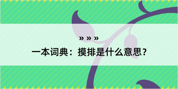 一本词典：摸排是什么意思？