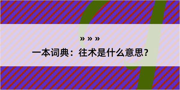 一本词典：往术是什么意思？