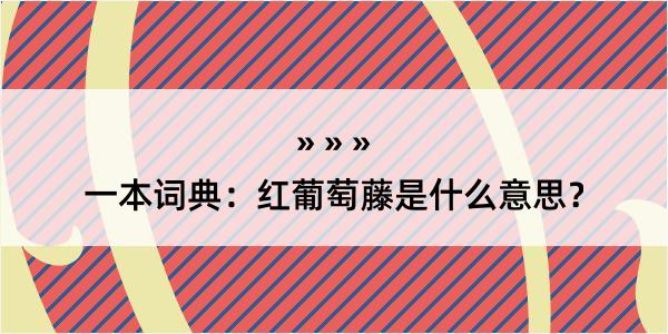 一本词典：红葡萄藤是什么意思？