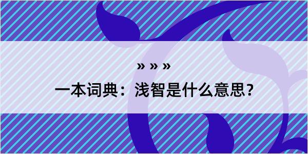 一本词典：浅智是什么意思？